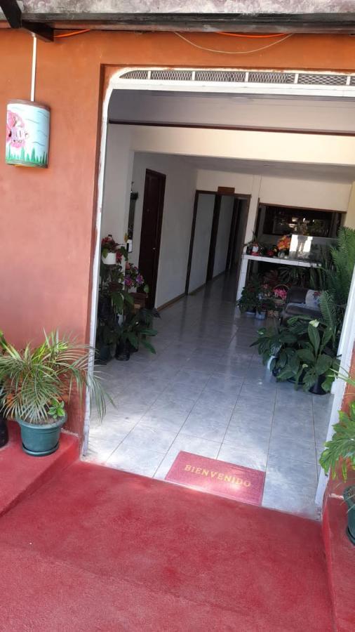 Hospedaje Angela Nicoya Bagian luar foto