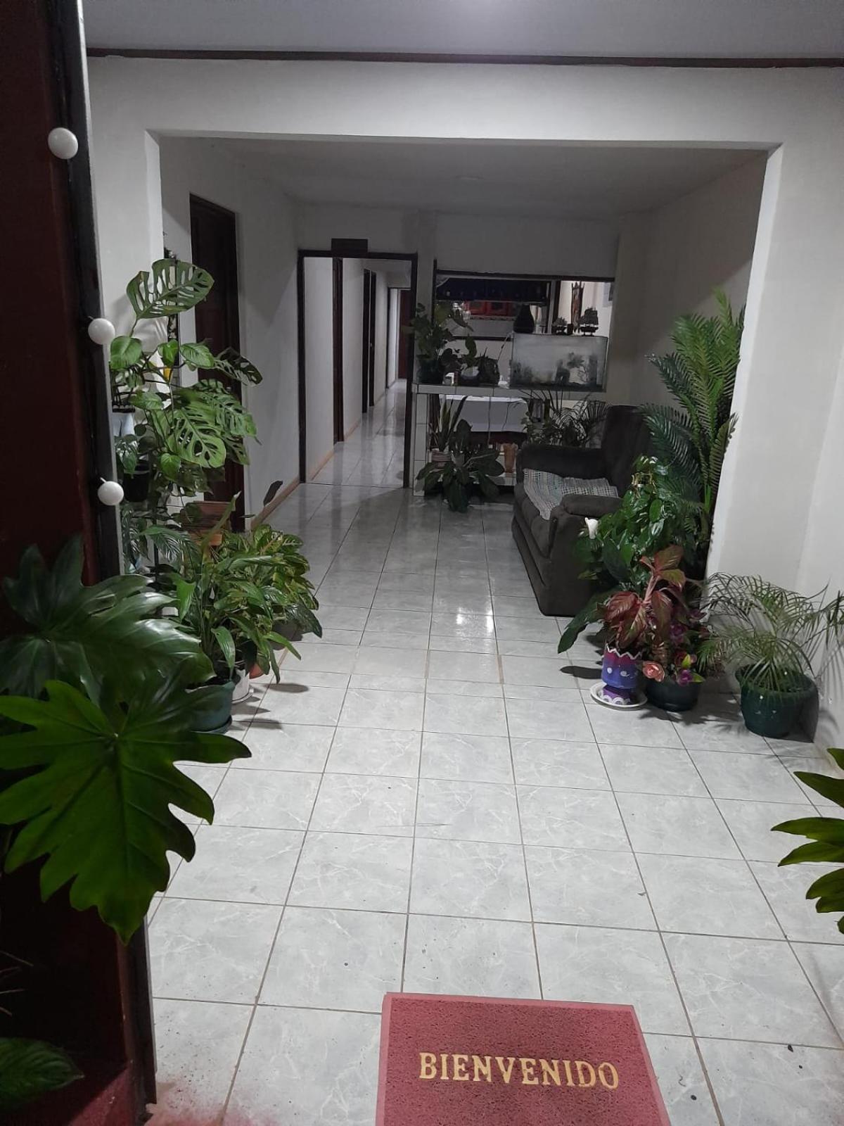 Hospedaje Angela Nicoya Bagian luar foto