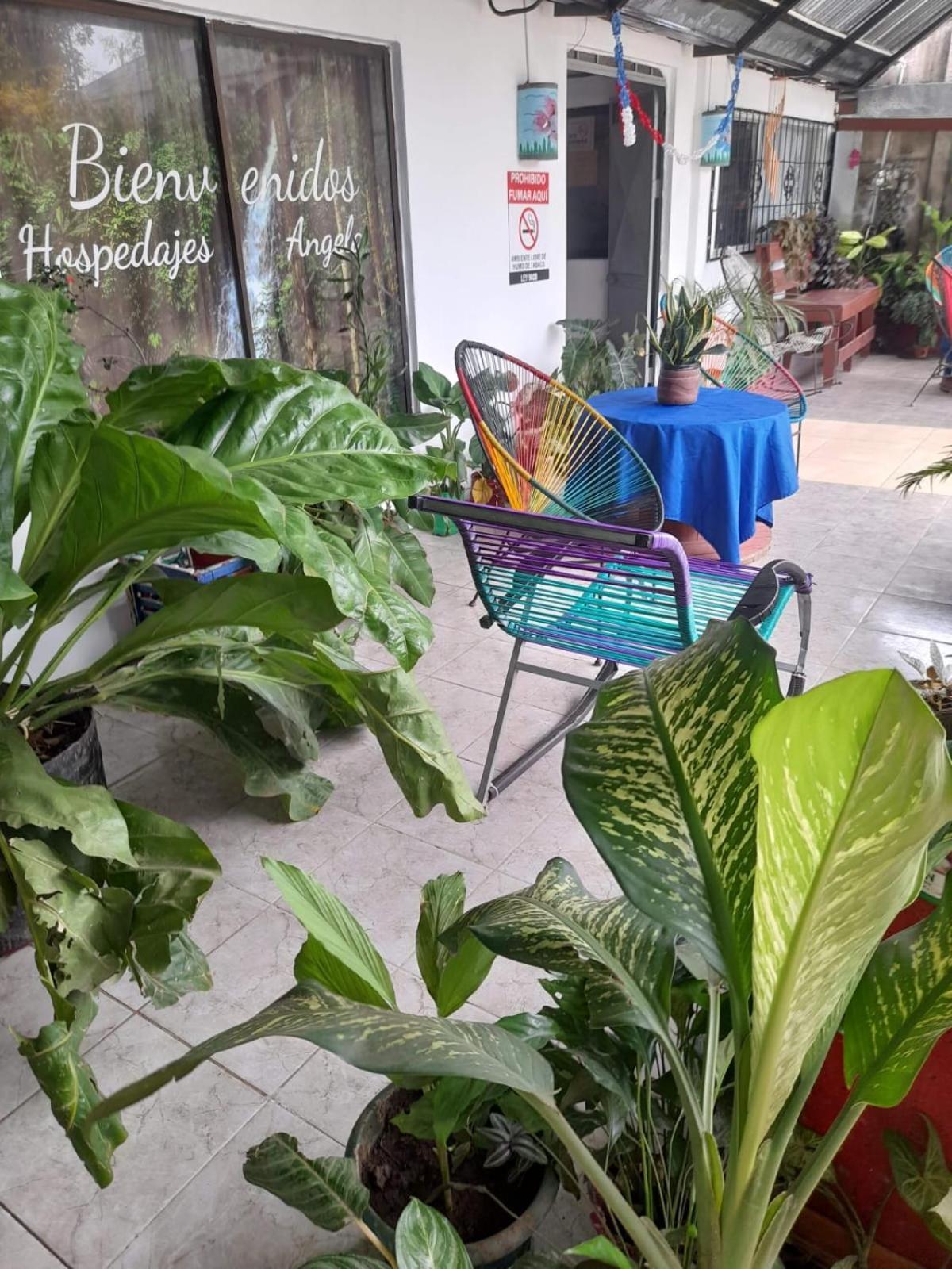 Hospedaje Angela Nicoya Bagian luar foto
