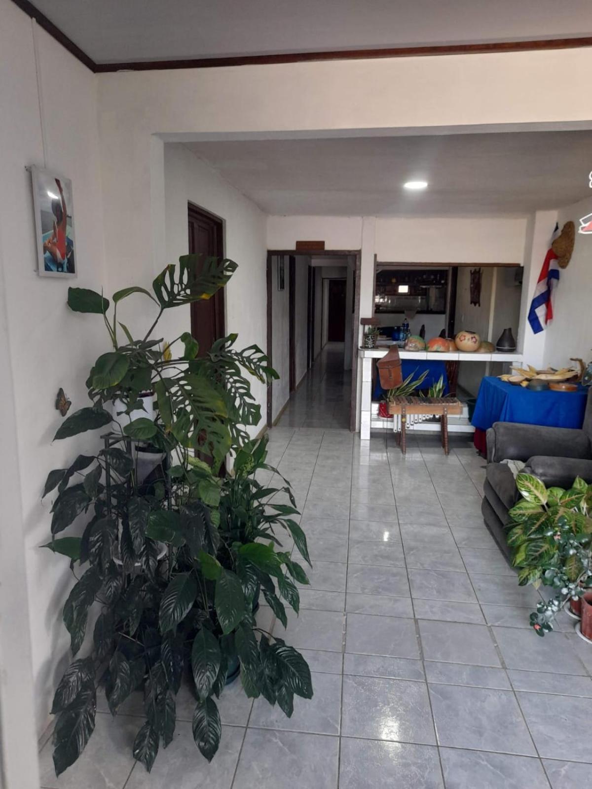 Hospedaje Angela Nicoya Bagian luar foto